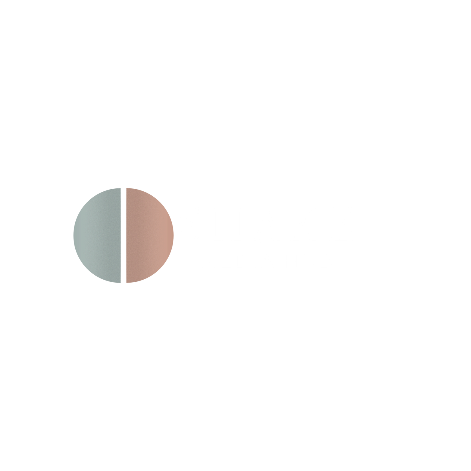 Shake Media Hub