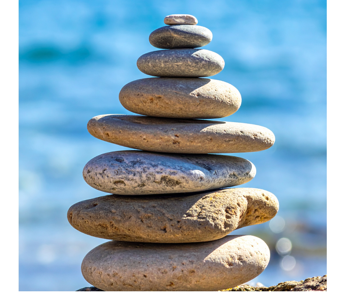 Conscious Choices — Shake Media Hub