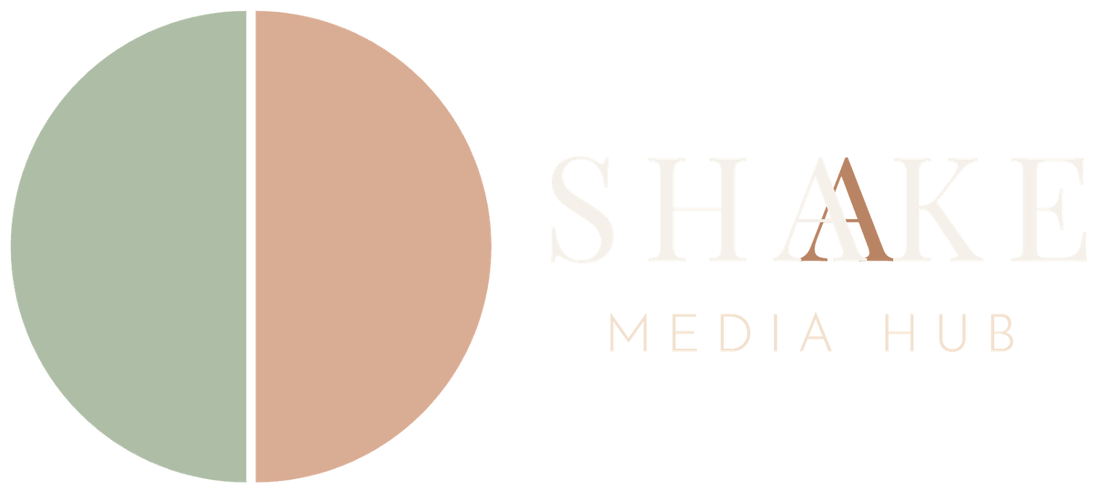 Shake Media Hub