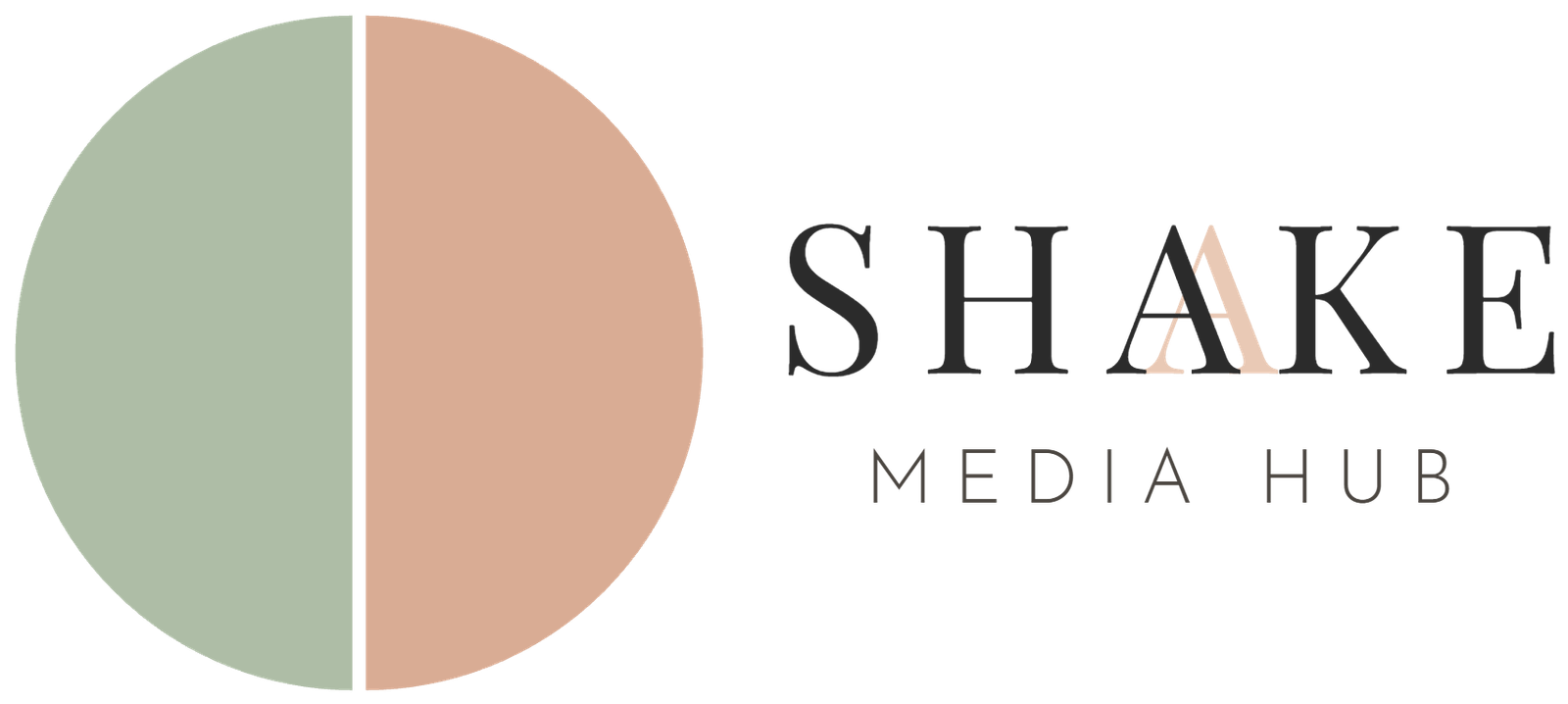Shake Media Hub